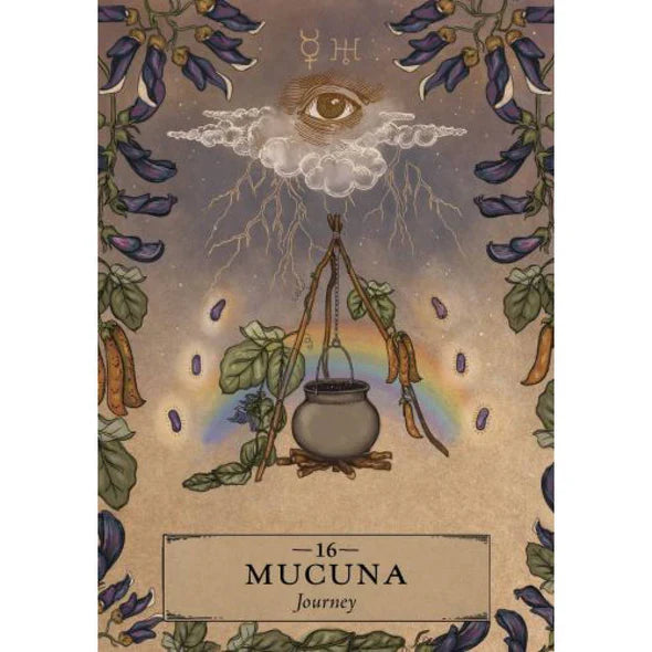 The Herbal Astrology Pocket Edition Orākuls