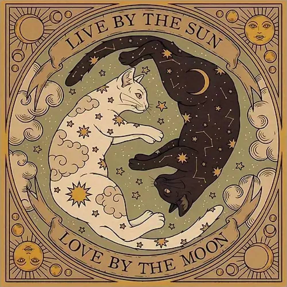 Galdauts Sun & Moon Cats 50x50cm