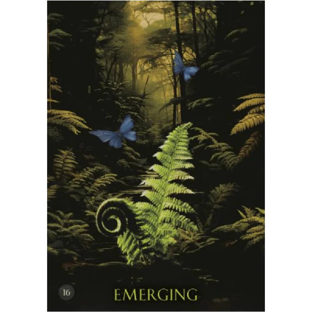 Soul Coaching Orākuls