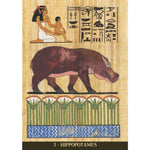 Ielādēt attēlu galerijas skatītājā, Egyptian Sacred Animals Orākuls
