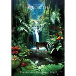 Ielādēt attēlu galerijas skatītājā, The Time Traveler`s Orākuls
