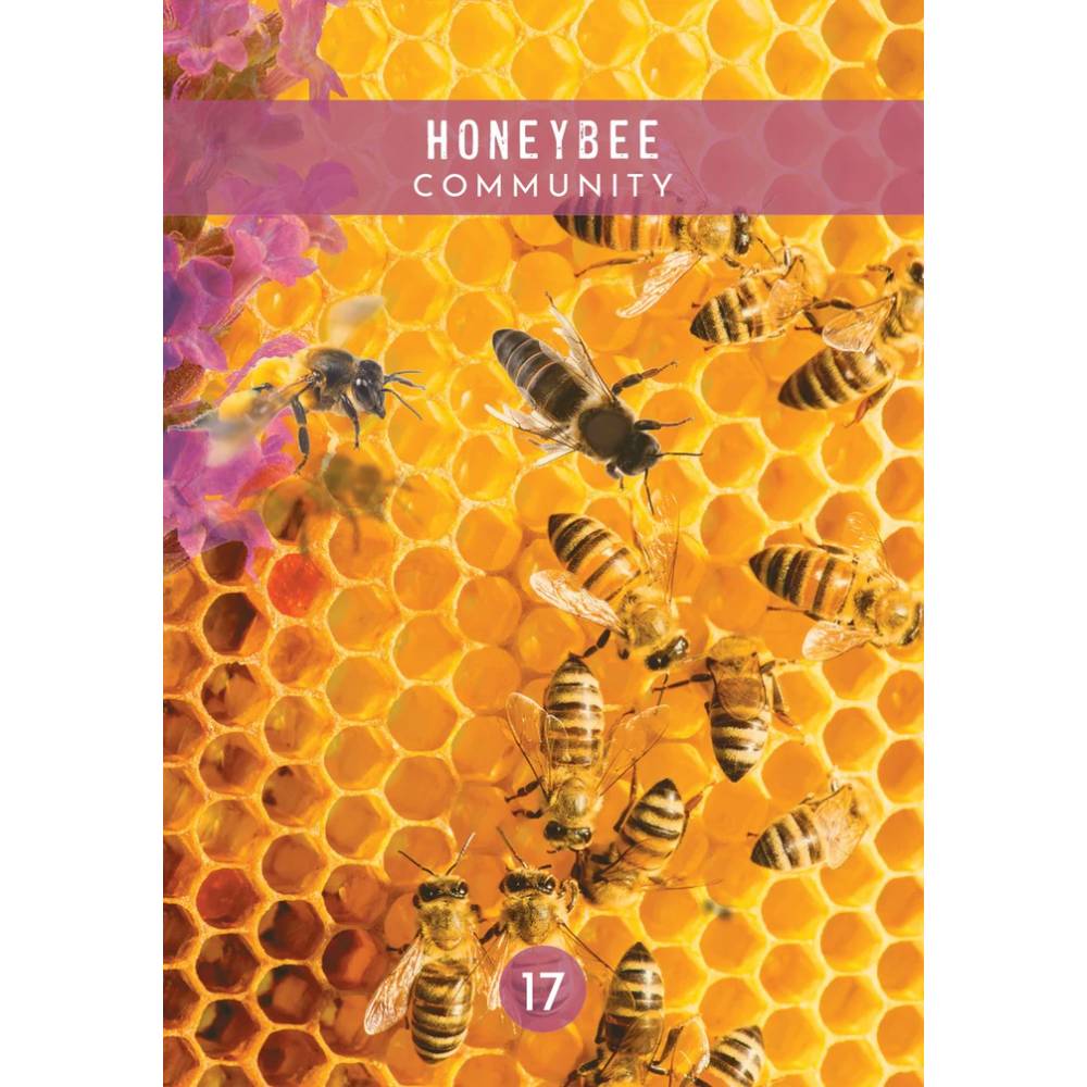 Messages from the Spirits of Nature Orākuls