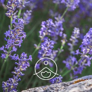 Lavender Vera BIO Essential oil 5g