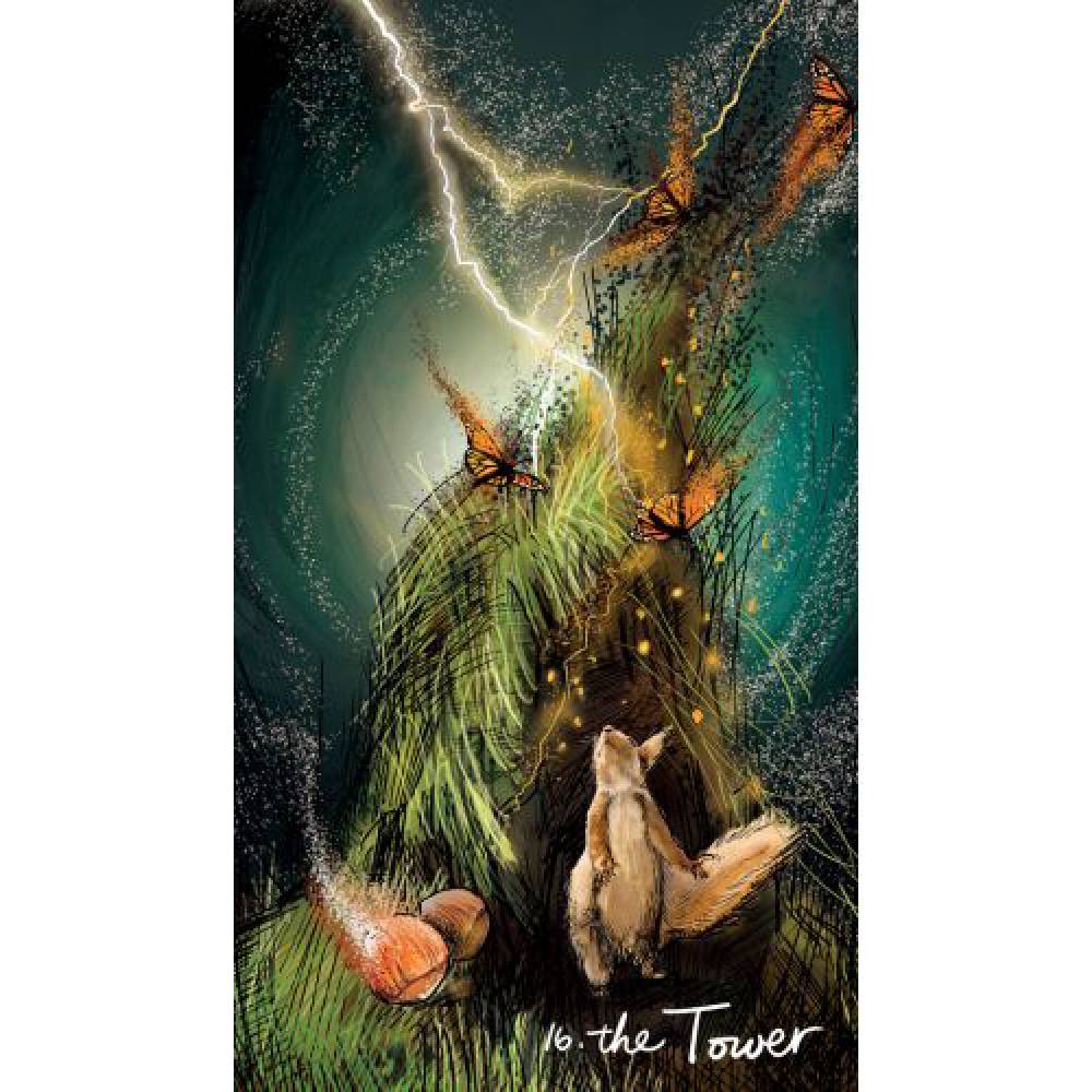 The Light Seer`s Taro Kārtis