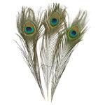 Ielādēt attēlu galerijas skatītājā, Pāva Spalva Natural Peacock Feathers 25-30cm
