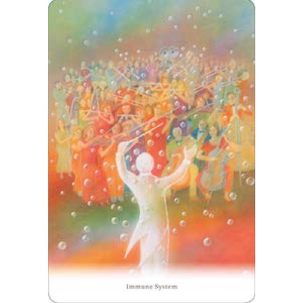 Body Healing Cards Orākuls