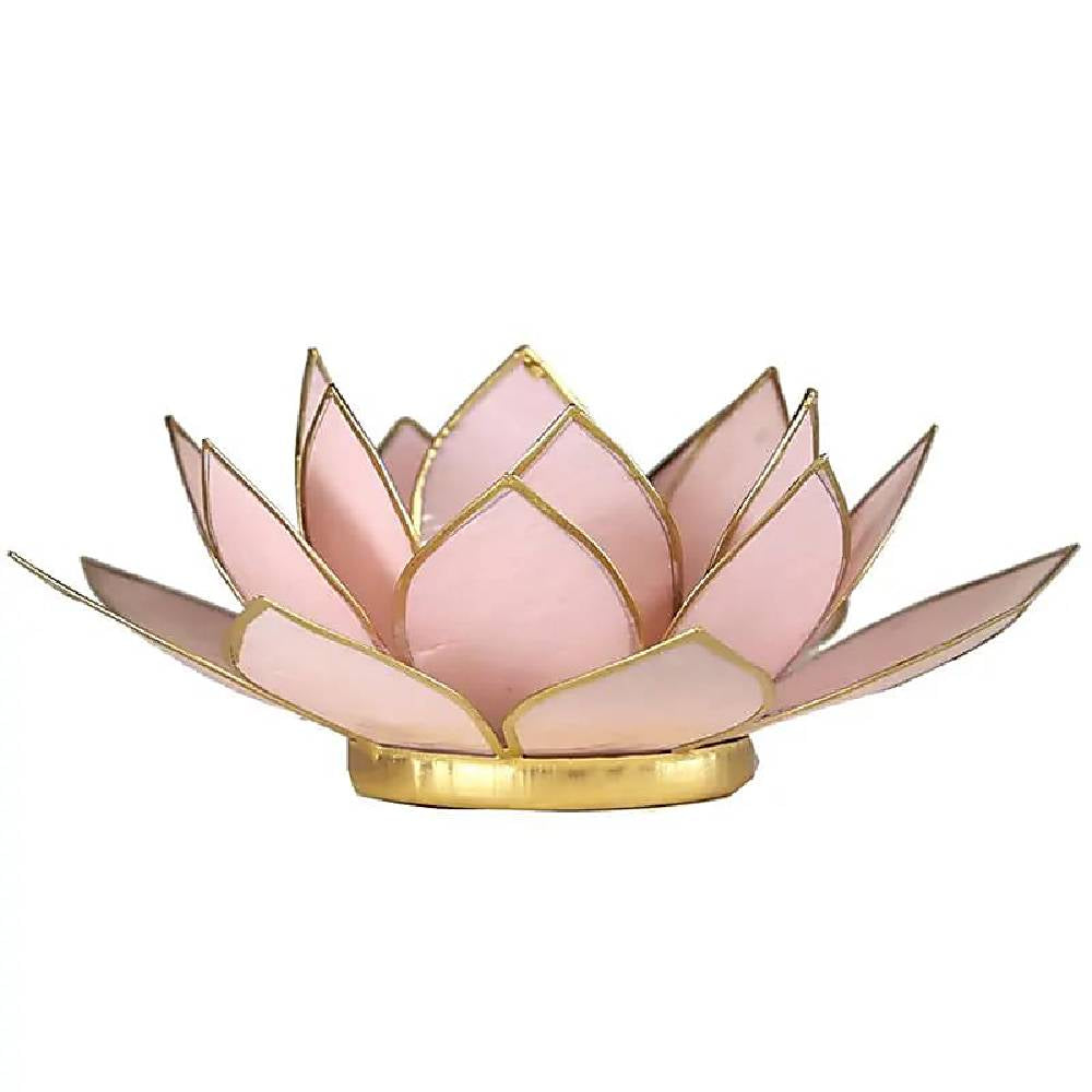 Lotus atmospheric light pastel pink gold trim