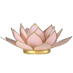 Lotus atmospheric light pastel pink gold trim