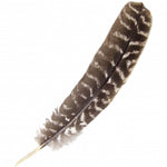 Ielādēt attēlu galerijas skatītājā, Ērgļa Spalva Natural Eagle Feathers 20-30cm
