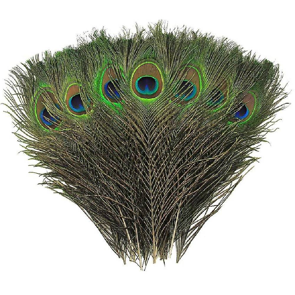Pāva Spalva Natural Peacock Feathers 25-30cm