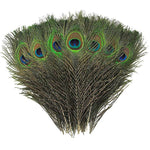 Load image into Gallery viewer, Pāva Spalva Natural Peacock Feathers 25-30cm
