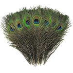 Ielādēt attēlu galerijas skatītājā, Pāva Spalva Natural Peacock Feathers 25-30cm
