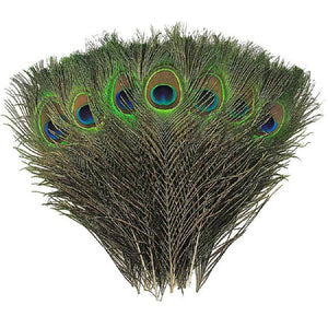 Pāva Spalva Natural Peacock Feathers 25-30cm