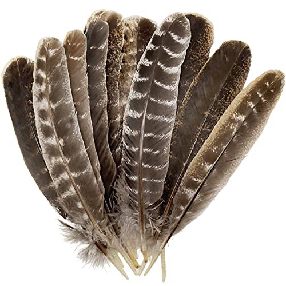 Ērgļa Spalva Natural Eagle Feathers 20-30cm