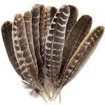Ielādēt attēlu galerijas skatītājā, Ērgļa Spalva Natural Eagle Feathers 20-30cm
