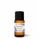 Load image into Gallery viewer, Angelica Root BIO Essential oil 2g
