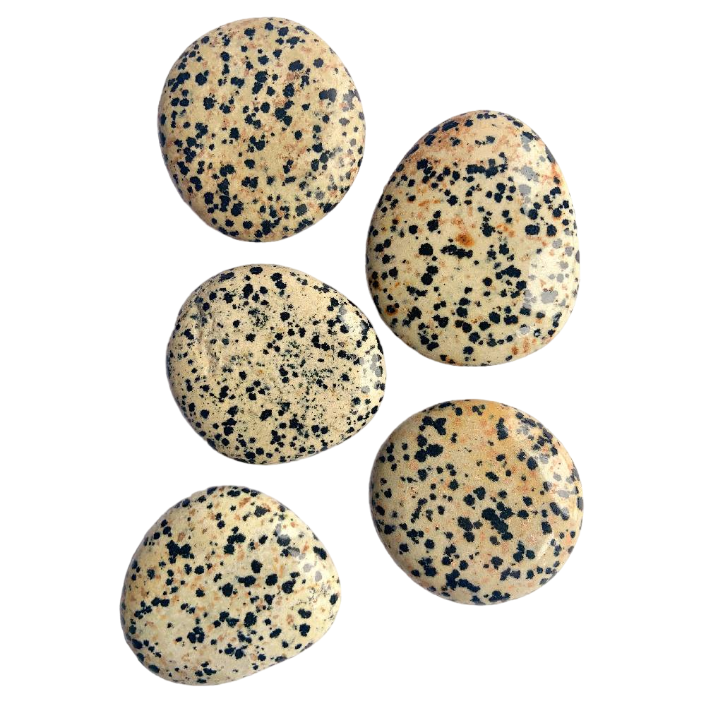 Akmens Jašma / Dalmāciešu Jašma Meksika / Dalmation Jasper Chakra Stone 50-70mm