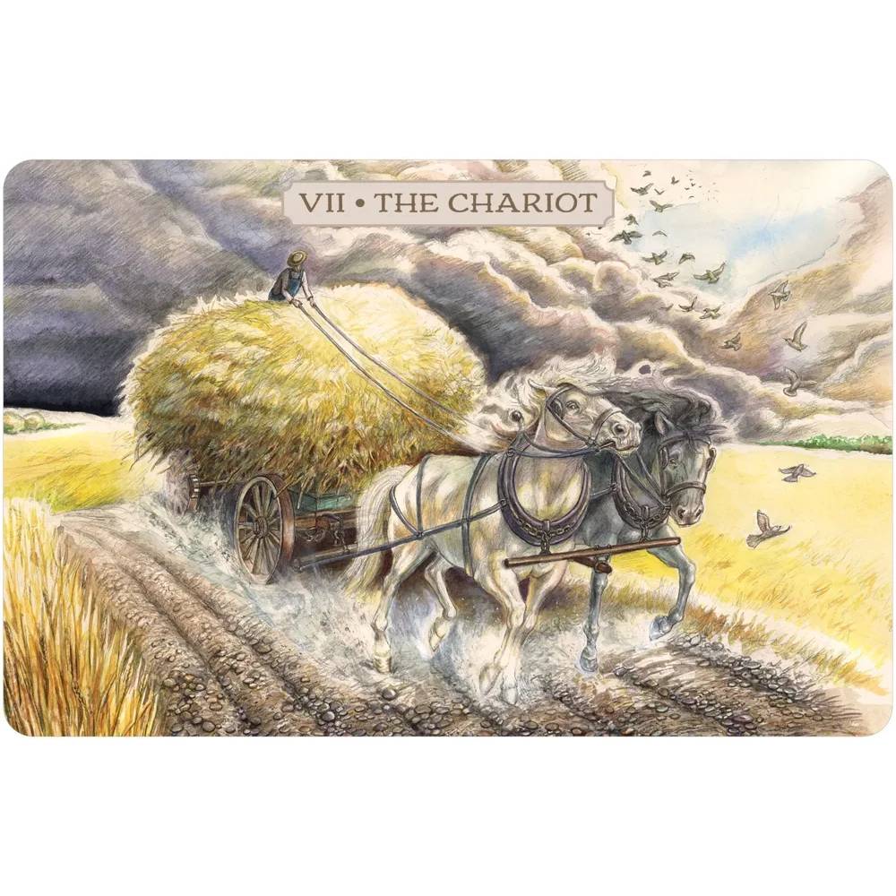 Pastoral Taro Kārtis