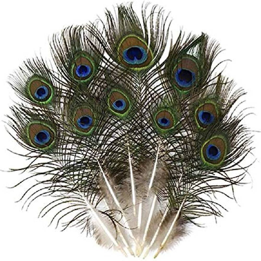 Pāva Spalva Natural Peacock Feathers 25-30cm