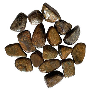 Akmens Bronzīts Brazīlija / Bronzite
