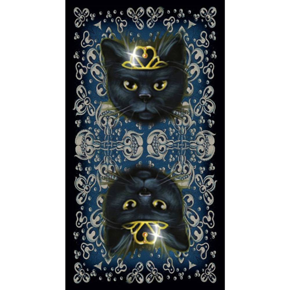 Black Cats Tarot Cards