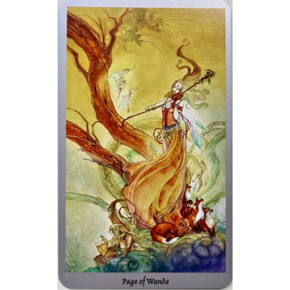 Shadowscapes Deck Taro Kārtis