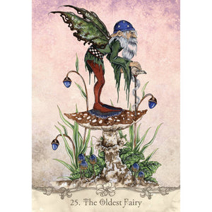 Fairy Wisdom Oracle Deck and Book Set Orākuls