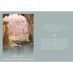 Ielādēt attēlu galerijas skatītājā, TLC for the Soul: 33 Inspiring Messages of Comfort Orākuls
