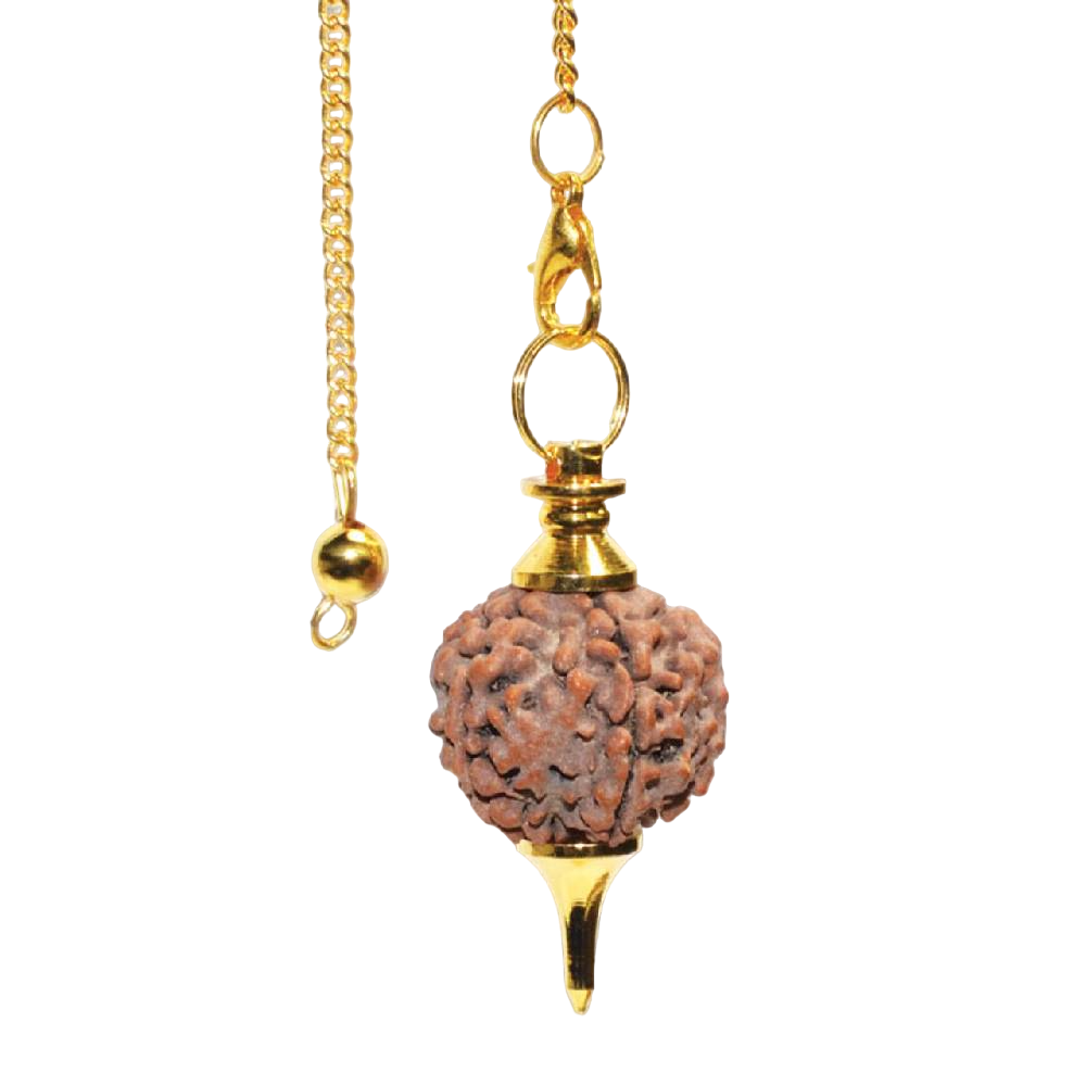Svārsts Rudrakša / Rudraksha