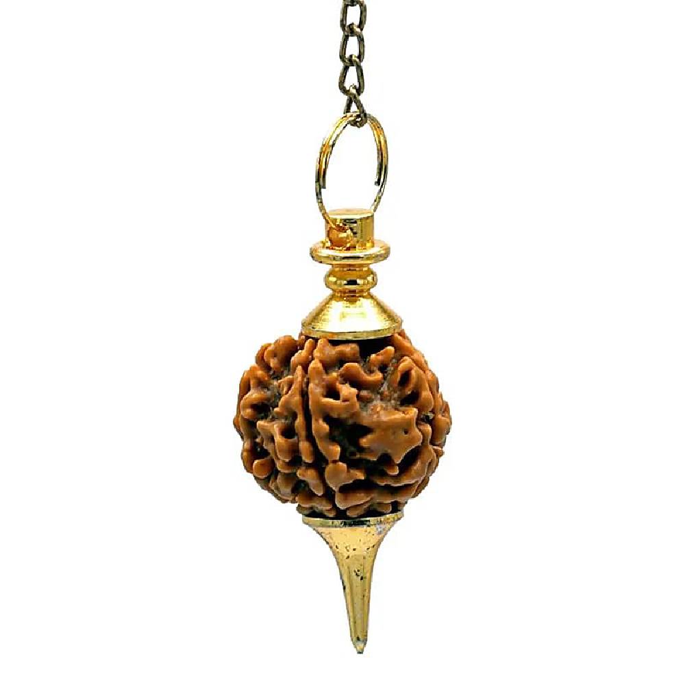 Svārsts Rudrakša / Rudraksha