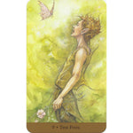 Ielādēt attēlu galerijas skatītājā, Tarot of the Hidden Realm Taro Kārtis
