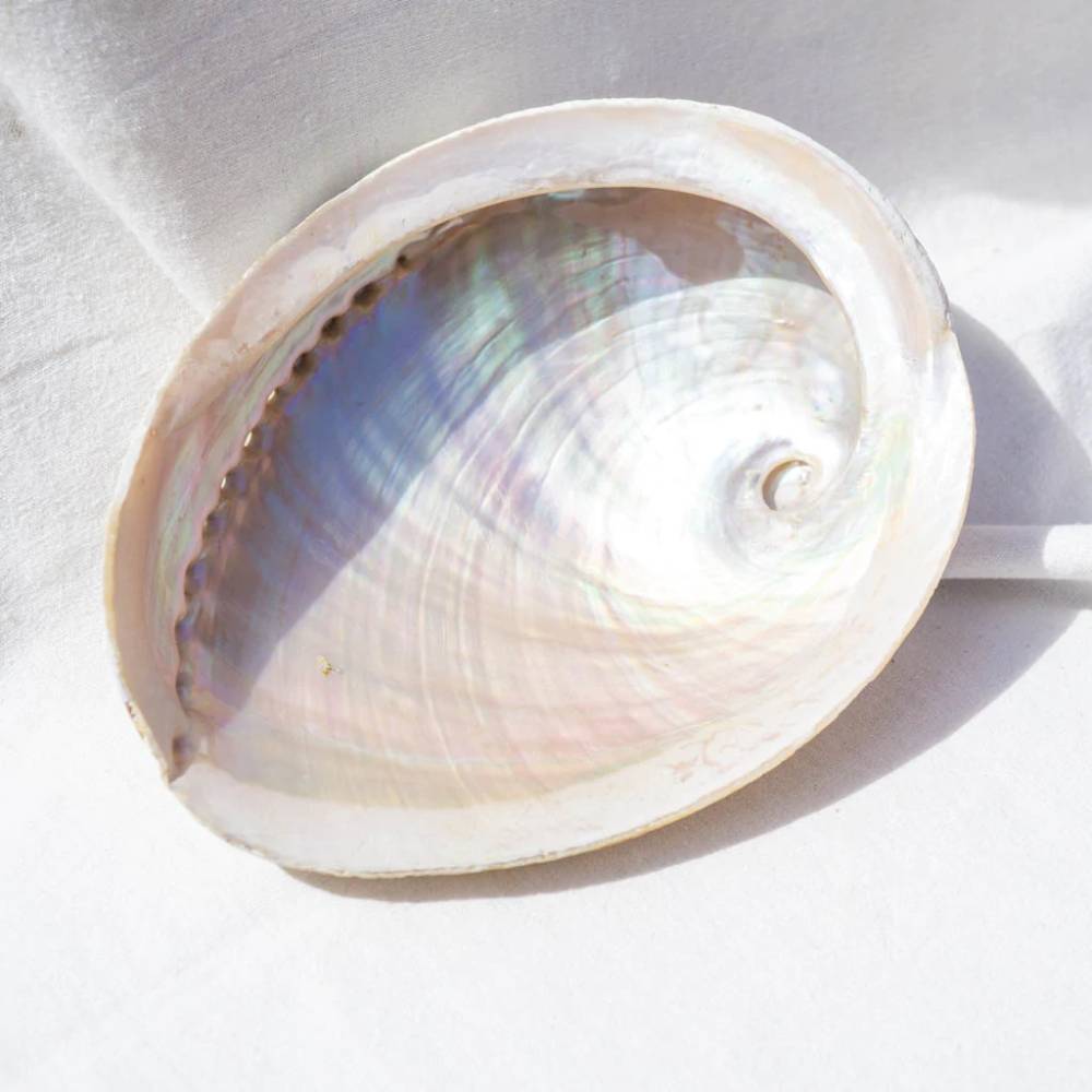 Turētājs Gliemežvāks Abalone Smudging Shell Haliotis Diversicolor L - Palo Santo & Sage