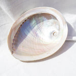 Загрузить изображение в средство просмотра галереи, Turētājs Gliemežvāks Abalone Smudging Shell Haliotis Diversicolor L - Palo Santo &amp; Sage
