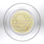 Ielādēt attēlu galerijas skatītājā, Glāze Mythos Gold ar Zelta Dzīvības Zieda logo 250ml
