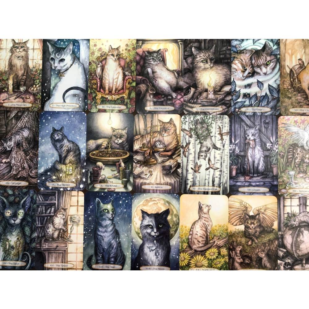 Soul Cats Taro Kārtis