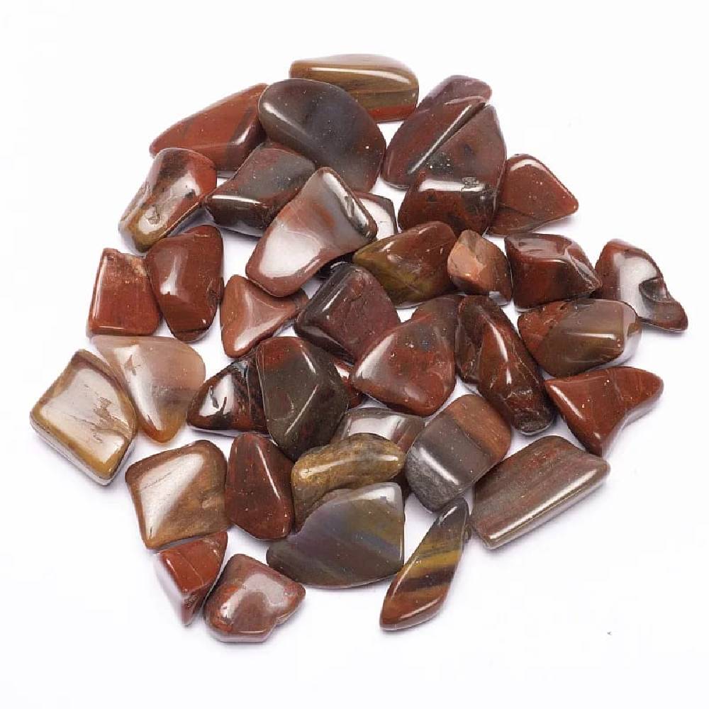 Pārakmeņojies koks / Petrified Wood or Fossilized Wood USA A Quality