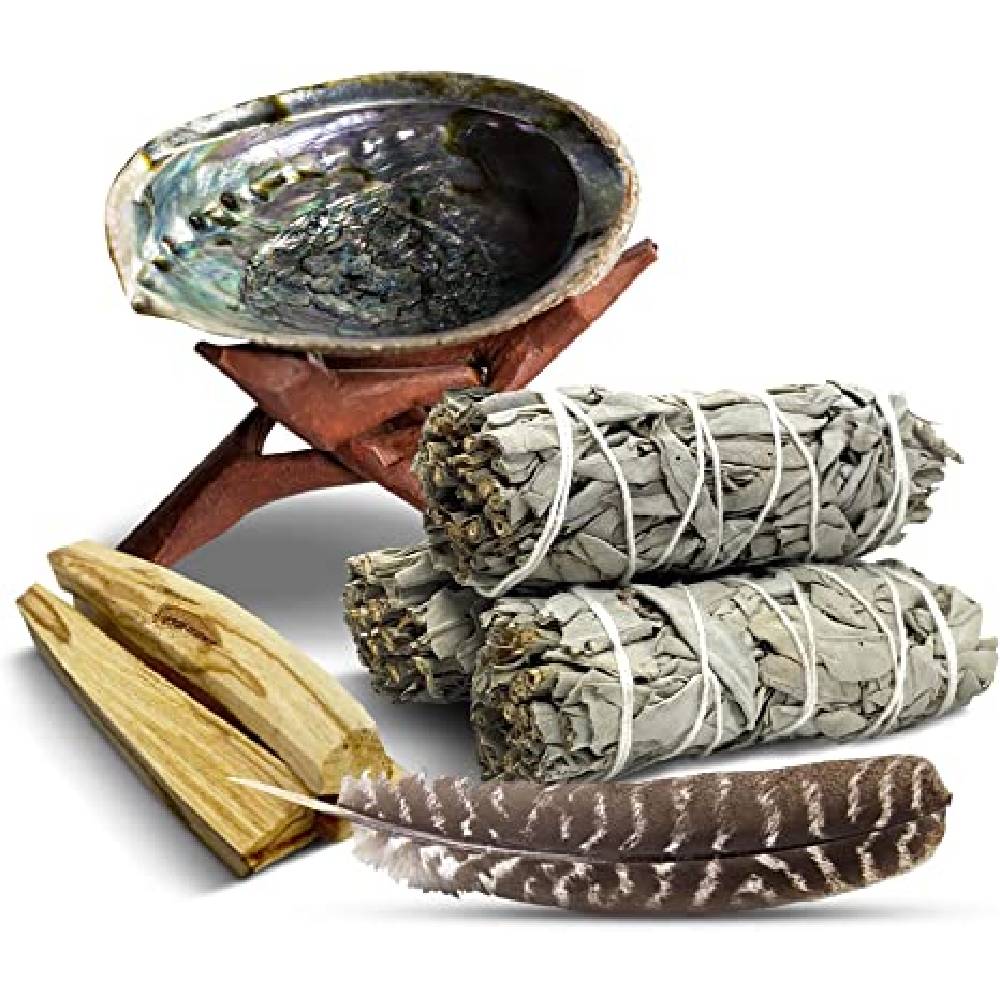 Abalone smudging shell Haliotis diversicolor L
