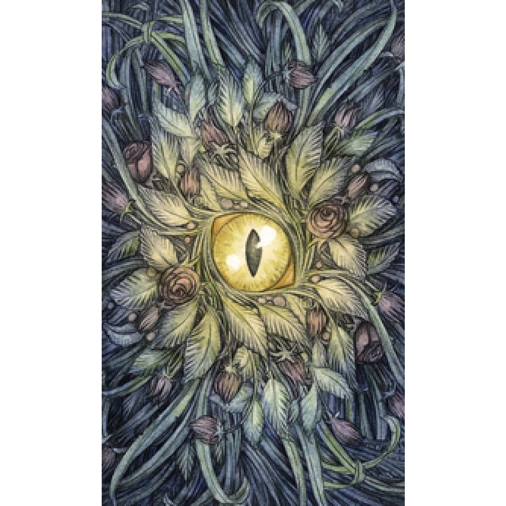 Soul Cats Taro Kārtis