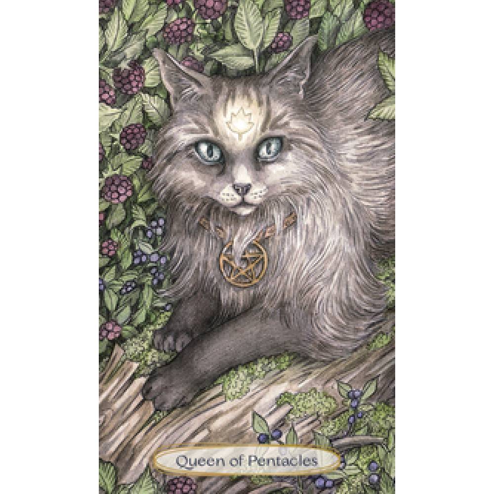 Soul Cats Taro Kārtis