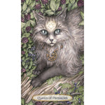 Ielādēt attēlu galerijas skatītājā, Soul Cats Taro Kārtis
