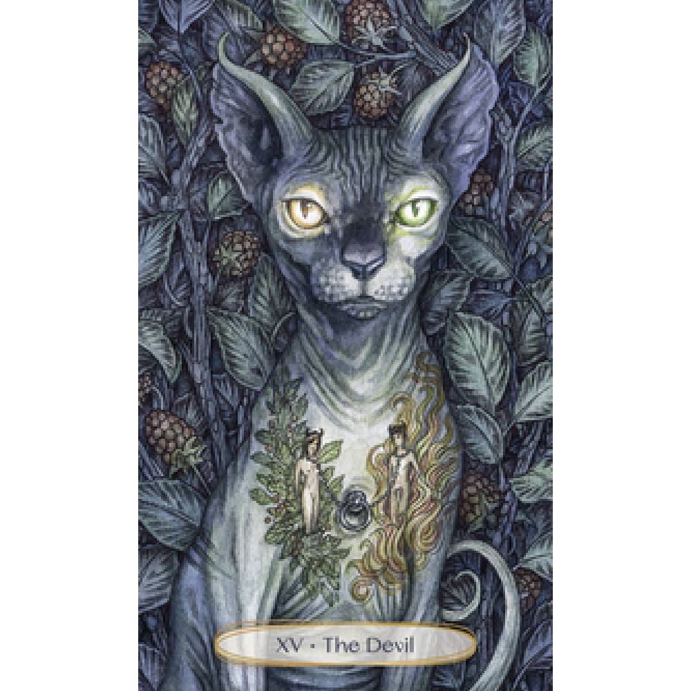 Soul Cats Taro Kārtis