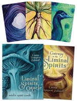 Load image into Gallery viewer, Liminal Spirits Oracle Cards
