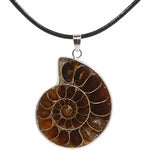 Ielādēt attēlu galerijas skatītājā, Kulons Amonīts / Ammonite
