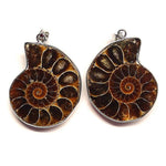 Ielādēt attēlu galerijas skatītājā, Kulons Amonīts / Ammonite
