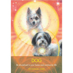 Load image into Gallery viewer, Archangel Animal Oracle Cards
