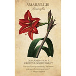 Ielādēt attēlu galerijas skatītājā, Botanical Inspirations Deck &amp; Book Set Orākuls
