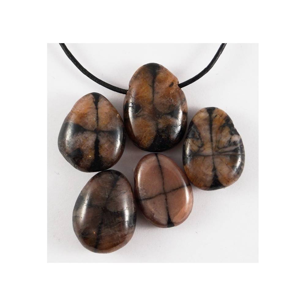 Kulons Čiastolīts / Krusta Akmens / Chiastolite 25-30mm