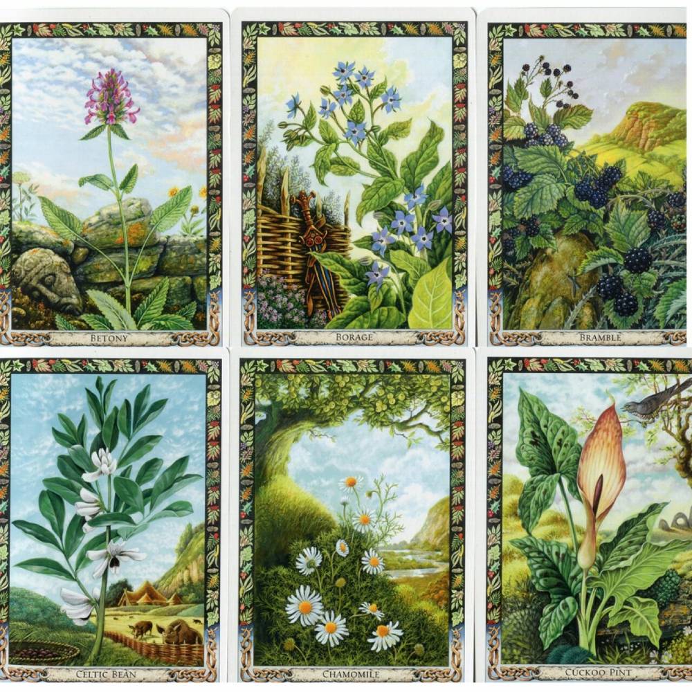 The Druid Plant Orākuls