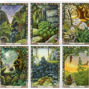 The Druid Plant Oracle – EzoterikaBio.lv