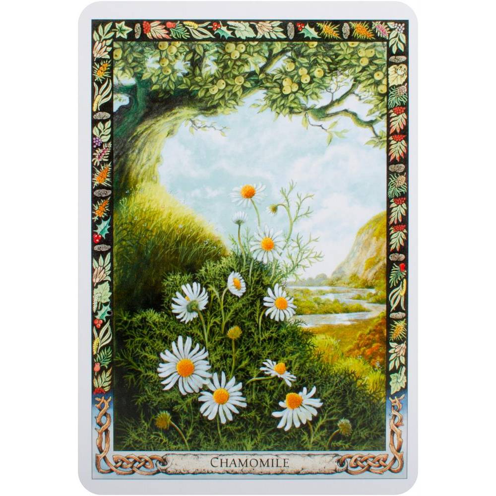 The Druid Plant Orākuls